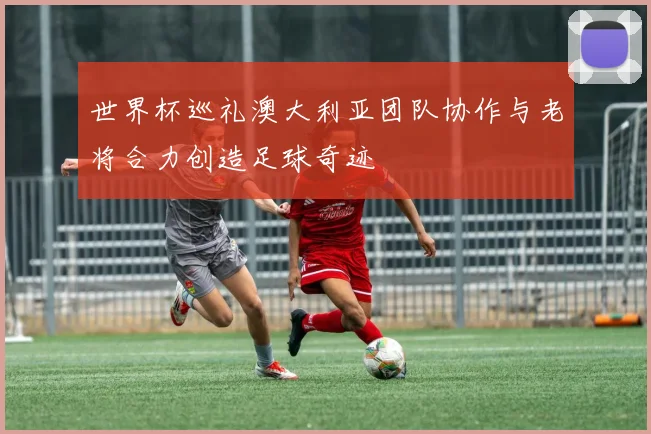 世界杯巡礼澳大利亚团队协作与老将合力创造足球奇迹